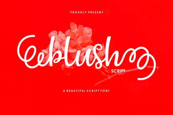 Blush Script: A Playful Font for Creative Expression