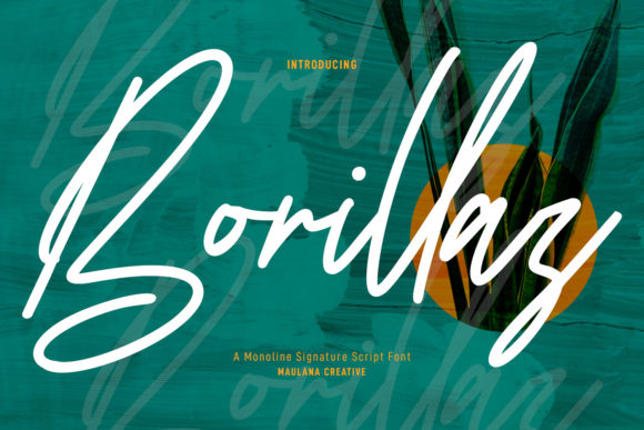 Borillaz Script: A Font That Adds Charm to Your Creations