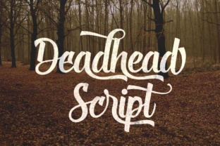 Deadhead Script: A Playful Typeface for Creative Expression