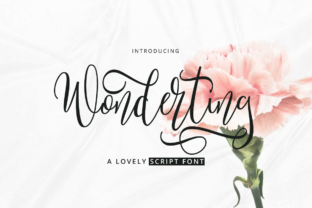Discover the Charm of Wonderting Script